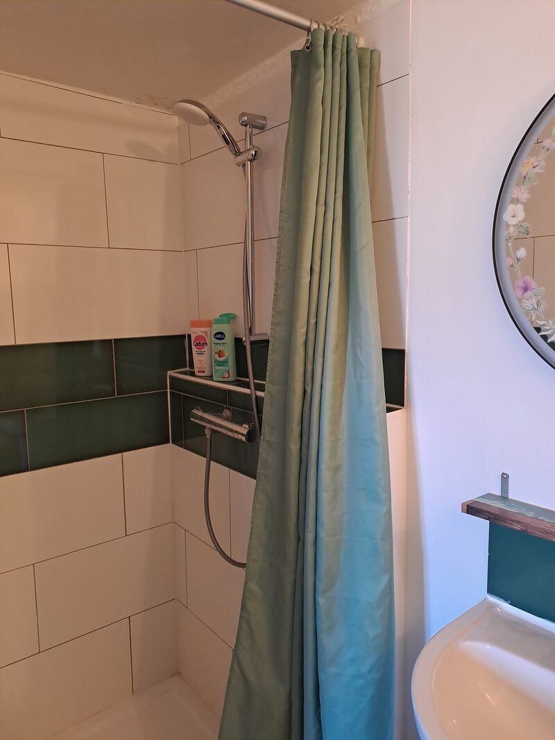 Salle de bain Le Gordini, douche avec rideau vert et carrelage bicolore — KM99 Pont-sur-Yonne